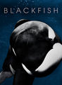 Blackfish | filmes-netflix.blogspot.com.br