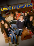 Undeclared: The Complete Series Poster