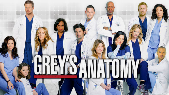 Grey's Anatomy 8ª Temporada – HDTV Dublado Torrent Download (2012)