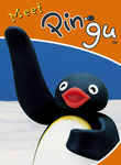 Pingu: Meet Pingu Poster