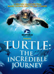 Turtle: The Incredible Journey Poster