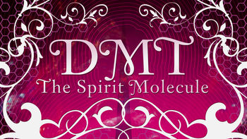 Netflix box art for DMT: The Spirit Molecule