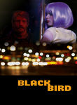 Blackbird Poster