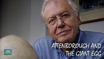 Netflix box art for Attenborough & The Giant Egg