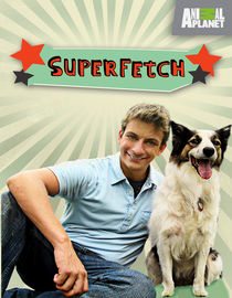 Superfetch: Season 1: Fetch Me Some Ice Cream / Dog Cleans Up Bachelor Pad