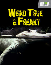Weird, True & Freaky: Season 3: Eternally Stuffed