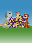 Pound Puppies: Season 2 Poster